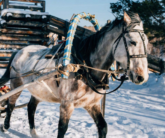 <Байкал>